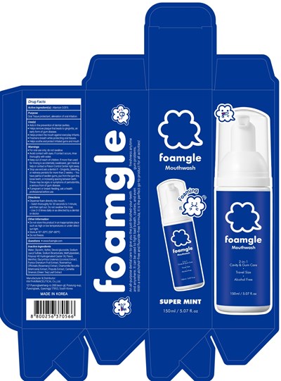 Carton Image (Foamgle Supermint 150ml Carton)